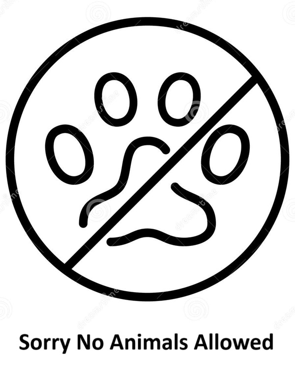No animals